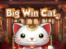 Big Win Cat