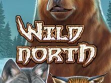 Wild North